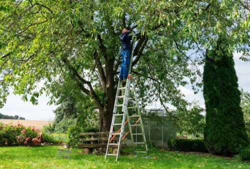 MONTO + STABILO CombiSystem létrarögzítő tüske (párban)